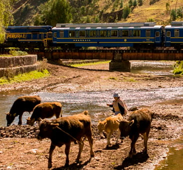 Perurail Vistadome Observatory