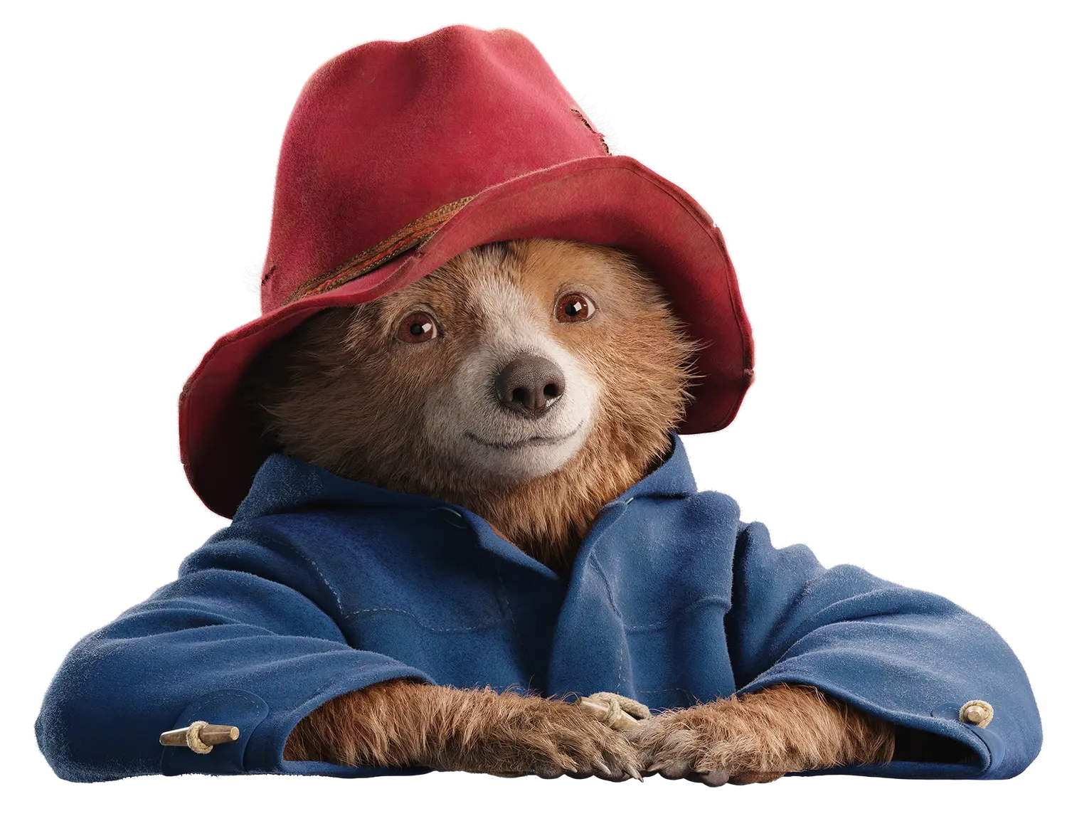 Vive la experiencia Paddington